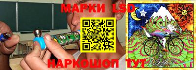 spice Дубна