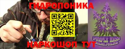 spice Дубна